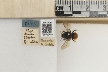 Media type: image;   Entomology 792467 Aspect: Labels